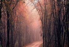 九游娱乐官方-青岛中能实力抗衡，冲击联赛积分榜！的简单介绍