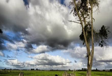 九游体育直播-尤文图斯力克圣安东尼奥马刺，Caps一己之力扛起全队宿命之战四强赛，锁定晋级资格