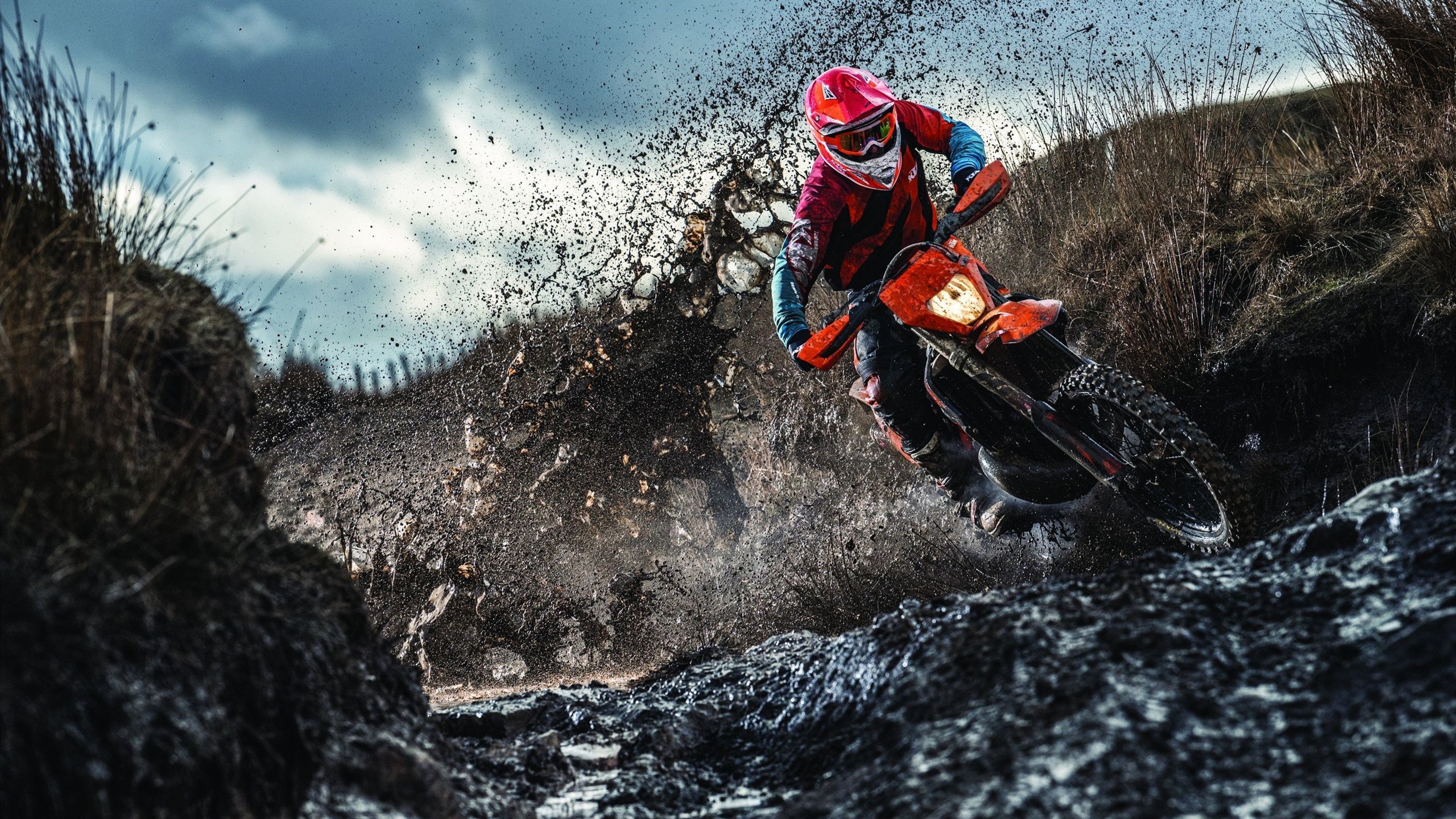 乔治彻底打爆防线,黄蜂收割广东队,一场战术与意志的胜利